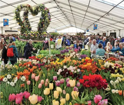  ?? Pictures: Mikal Ludlow Photograph­y ?? RHS Malvern Spring Festival 2023