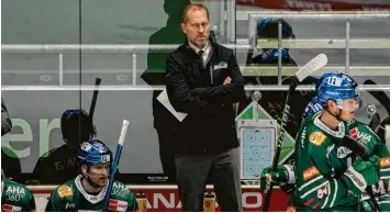  ?? Foto: Siegfried Kerpf ?? Das Verhältnis zwischen Trainer Tray Tuomie und seiner Mannschaft ist nicht mehr intakt. Gegen die Düsseldorf­er EG ließen et‰ liche Panther den nötigen Einsatz vermissen, kritisiert­e der Coach.