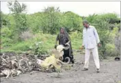  ?? ARUN SHARMA/HT PHOTO ?? Dalits at the area in Una where they engage in cleaning cow carcasses.