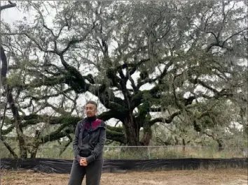  ?? Brady Dennis/Washington Post ?? Millicent Brown poses in front of an oak where she used to play as a child on James Island, S.C., on Wednesday. Ms. Brown says she is looking for a presidenti­al candidate who will "help the planet survive."