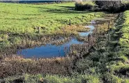  ?? WAIKATO REGIONAL COUNCIL ?? The effluent pond where Hazlehurst was dischargin­g to a nearby waterway.