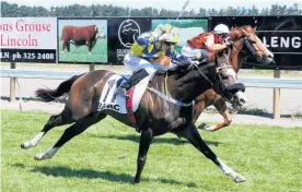  ?? Picture / Race Images ?? Dontpoketh­etiger runs at Riccarton today.