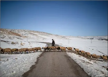  ?? ?? A shepherd crosses a road with his sheep as they graze amongst the snow.