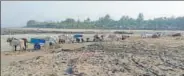  ?? HT PHOTO ?? Sand being carted away by bullock carts at Kihim beach.