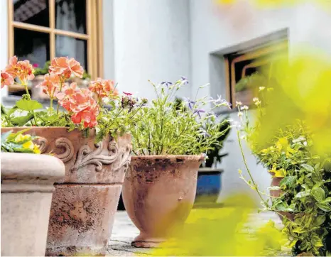  ?? FOTO: FRANZISKA GABBERT/DPA ?? Frostharte Steingut- und Tontöpfe sind zwar schwer, sorgen aber für mediterran­es Flair auf Balkon und Terrasse.