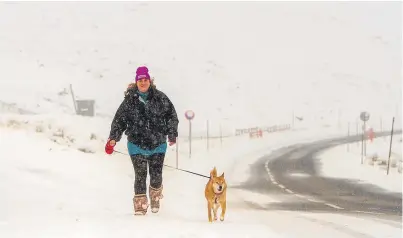  ?? Picture: Steve MacDougall. ?? Sarah McGuire, finance manager at Glenshee Ski Centre, walking her dog, Daisy, along a wintry A93.