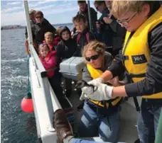  ??  ?? Suzanne Dooley and a helper aboard O’Brien’s Whale and Bird Tours get ready to release a rescued puffling back into the ocean at Witless Bay.