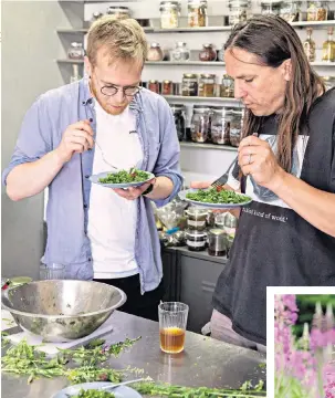  ??  ?? TURN OVER A NEW LEAF Tom, left, and Miles try the salad, main, after finding plants such as rosebay willowherb, below