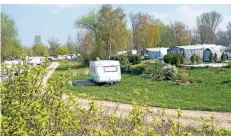  ?? FOTO: GEORG SALZBURG ?? Eine sehr ruhige, beschaulic­h am Rhein gelegene Campingpla­tz-anlage ist Pitt Jupp im Stürzelber­ger Grund.