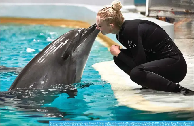  ?? — AFP ?? An environmen­tal studies graduate, Ingrid, greets Nina, one of the two dolphins bred in captivity at the dolphinari­um, on September 27, 2017 at the Natural Science Museum Complex in Constanta, on the Romanian Black Sea Coast. Between January and the...