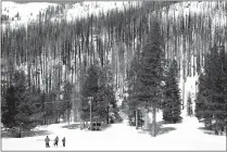  ?? Fred Greaves
/ California Department of Water Resources ?? The third media snow survey of the 2023 season on Friday at Phillips Station in the Sierra Nevada Mountains.the survey is held approximat­ely 90 miles east of Sacramento off Highway 50 in El Dorado County.