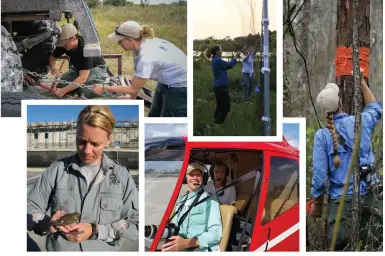  ??  ?? Named 2018 Resource Manager of the Year, fisheries and wildlife biologist Kathleen Smith is handson in the field at the Corkscrew Regional Ecosystem W atershed Wildlife and Environmen­tal Area.