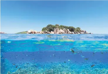  ?? /123RF/BlueOrange Studio ?? Island paradise: Seychelles, one of the world’s leading tourist destinatio­ns, has proposed two unique initiative­s to protect fish stocks and the marine environmen­t.