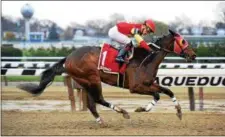  ?? PHOTO NYRA ?? Yokiepoo Princess is seen here racing at Aqueduct Racetrack, looks to return to the winner’s circle after a three-race stake streak at the Racetrack last year.