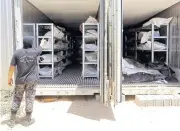  ?? REUTERS ?? A member of Libyan anti-crime service points to dead bodies of Islamic State militants, at a morgue in Misrata, Libya, on Saturday.