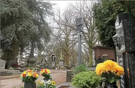  ??  ?? La mère d’Isabelle Faes repose au cimetière du Sud, « sous une pauvre croix en bois abîmée », déplore-t-elle.