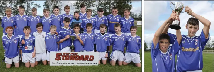  ??  ?? The Oylegate-Glenbrien squad with the spoils of success after their extra-time victory. Darragh Harris and Jack Hennessy, the victorious joint captains.