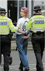  ?? Picture: GETTY IMAGES ?? ATTACK: A Just Stop Oil activist is arrested after Van Gogh's ‘Sunflowers’ had soup thrown on it at the National Portrait Gallery in London.