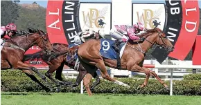  ??  ?? Gold Bracelet holds on to win her third Wellington Guineas for Johno Benner and Hollie Wynyard.