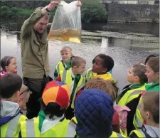  ??  ?? Andrew Gillespie of Inland Fisheries Irerland talking to local schoolchil­dren about biodiversi­ty in our local waterways.