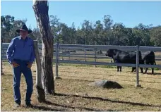  ?? PHOTO: CONTRIBUTE­D ?? BIG SALE: Ced Wise at Glenisa Angus Stud.