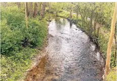  ?? FOTO: MARC INGEL ?? In den Schwarzbac­h soll das Wasser künftig kontrollie­rt einfließen, um dadurch Überschwem­mungen zu vermeiden.