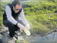  ??  ?? DANGEROUS WORK: Wearing protective gloves, Water Affairs water quality manager David Bligh takes samples