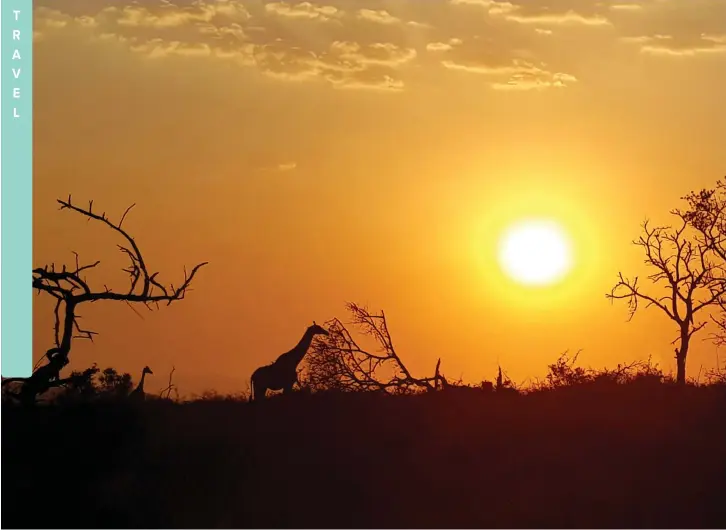  ??  ?? “THANDA” in Zulu means “love” and that’s the exact feeling and welcome you get when you step into the private game reserve.
|
ALYSSIA BIRJALAL