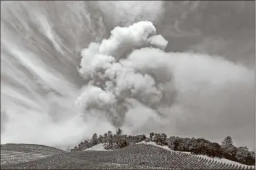  ?? AP-Noah Berger, File ?? In this Aug. 18 file photo, a plume rises over a vineyard in unincorpor­ated Napa County, Calif., as the Hennessey Fire burns. Smoke from the West Coast wildfires has tainted grapes in some of the nation’s most celebrated wine regions. The resulting ashy flavor could spell disaster for the 2020 vintage.