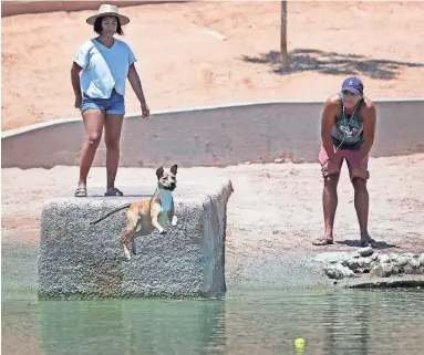 ??  ?? Jerika and Bryce Landers watch as their dog, Juniper, jumps into the water after a ball Sunday.