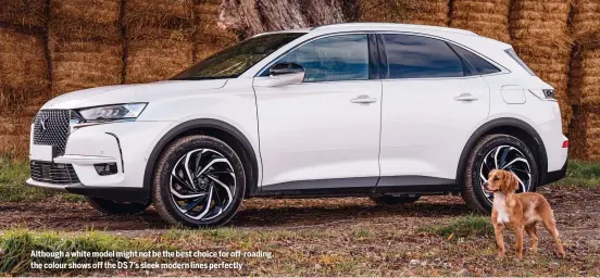  ?? ?? Although a white model might not be the best choice for off-roading, the colour shows off the DS 7’s sleek modern lines perfectly