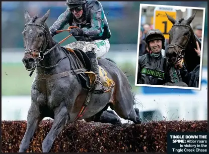  ??  ?? TINGLE DOWN THE SPINE: Altior roars to victory in the Tingle Creek Chase