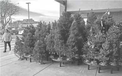  ?? DAVID ZALUBOWSKI/AP ?? Add Christmas trees to the list of items facing shortages and higher prices this year.