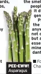  ??  ?? PEE-EWW! Asparagus
■