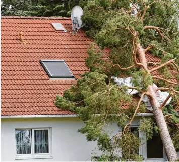  ?? Foto: Hendrik Schmidt, tmn ?? Immobilien­besitzer müssen dafür sorgen, dass durch ihr Eigentum kein Schaden entsteht.