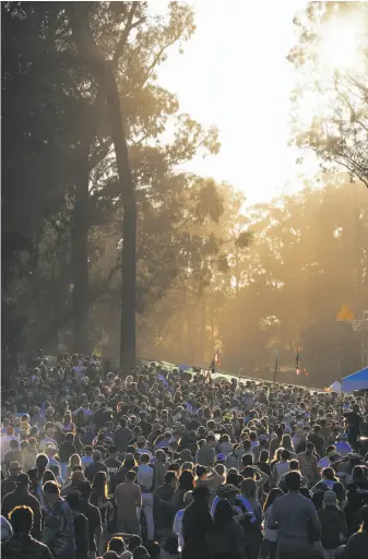  ?? Mason Trinca / Special to The Chronicle ?? Above: Music fans gather for Brandi Carlile’s performanc­e at the Swan Stage at the Hardly Strictly Bluegrass festival, a popular three-day event in Golden Gate Park. Below: San Francisco police Officers Eric Barreneche (left) and Justin Clayton give...