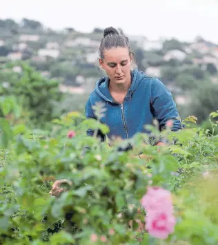  ?? EFE ?? Mujeres de menos de 29 años que trabajan en el sector de la agricultur­a son las más afectadas.