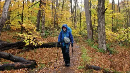  ??  ?? above
Artist Rob Mullen walks down Long Trail, the country's oldest long distance trail, Tuesday in Manchester, Vt. Mullen was nearing the end of his 272-mile month-long hike down the length of Vermont, painting along the way.