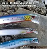  ??  ?? Dig in – the lip or vane on deep, medium and shallow diving lures