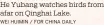  ?? WEI HUIMIN / FOR CHINA DAILY ?? He Yubang watches birds from afar on Qinghai Lake.