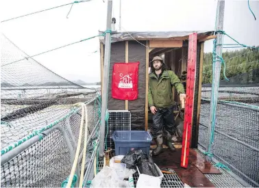  ?? DARREN STONE, TIMES COLONIST ?? An occupier at the Marine Harvest salmon farm off Midsummer Island, near Alert Bay.