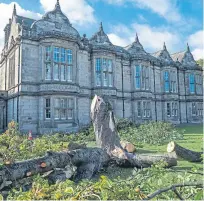  ?? Pictures: Dougie Nicolson/steven Brown. ?? Left: A man walks through a path cleared after a tree fell in Perth’s South Inch. Right: A tree toppled at Madras College.