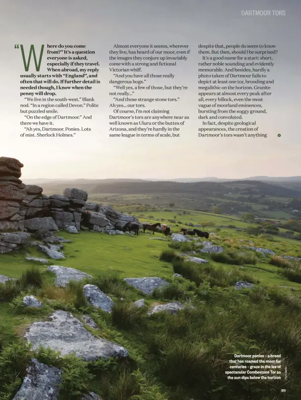  ??  ?? Dartmoor ponies – a breed that has roamed the moor for centuries – graze in the lee of spectacula­r Combestone Tor as the sun dips below the horizon