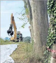  ??  ?? Le chantier de “tronçonnag­e” en cours, près du carrefour de Bezons, à Carcassonn­e