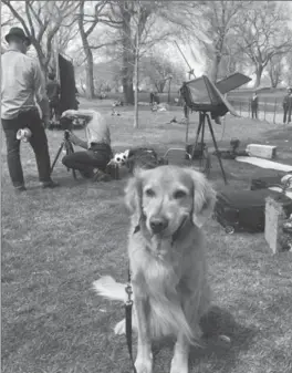  ?? CHRISTINA POTTER, THE ASSOCIATED PRESS ?? Christina Potter shows her golden retriever, Hudson, on an advertisin­g set in New York’s Central Park.