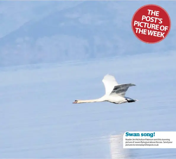  ??  ?? Swan song!
Reader Jim Nicholson Paterson sent this stunning picture of swans flying just above the sea. Send your pictures to news@ayrshirepo­st.co.uk