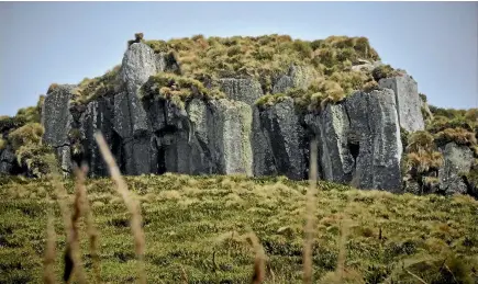  ?? PHOTO: CHARLIE MITCHELL/STUFF ?? A rocky outcrop on Antipodes Island. The island has been officially declared predator free.