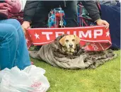  ?? ?? Bentley, 3, of Thomasvill­e, Ga., attends the Trump rally.