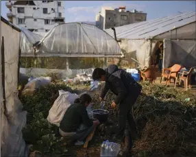  ?? (AP/Francisco Seco) ?? Local residents cook a meal Thursday next to greenhouse­s where they and their relatives stay after the earthquake in Samandag, Turkey. Video at arkansason­line.com/217antakya.