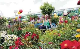  ??  ?? Eine Blütenprac­ht für Bienen, Hummeln und Schmetterl­inge: Inhaberin Petra Gentsch in der Staudensch­au im Klee-Gartencent­er Jena-Burgau. Foto: Katja Dörn